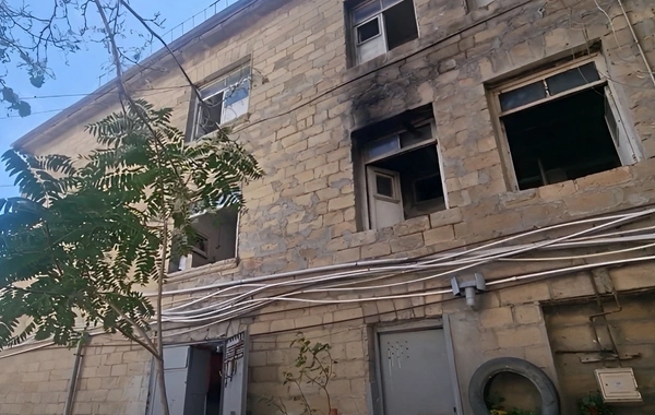 Sumqayıtda evləri qurdlar basıb