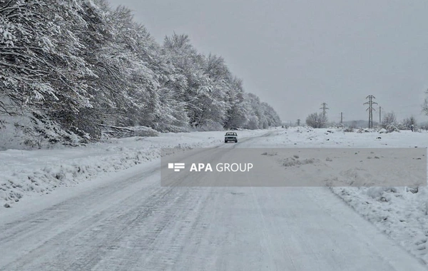 Güclü qar Qəbələnin dağlıq kəndlərinə gediş-gəlişi çətinləşdirib