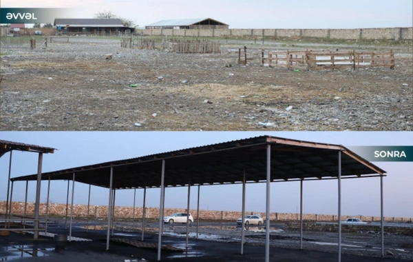 Biləsuvarda heyvan bazarı yenidən fəaliyyətə başlayıb