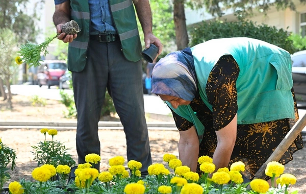 Bu gün Bakıda təmizlik işləri aparılıb