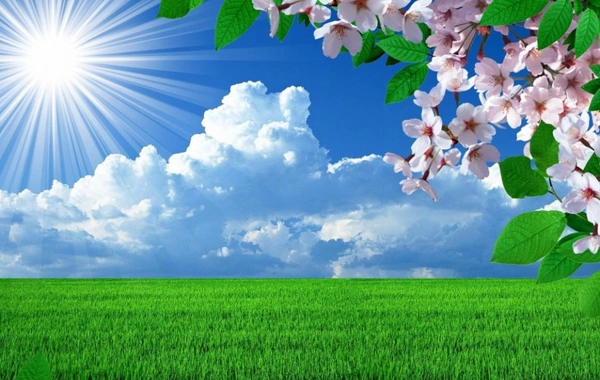 Sabah 23 dərəcə isti olacaq