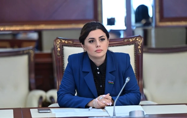 Pərvanə Vəliyeva: Azərbaycanda dağ-mədən sənayesinin illik maliyyə təsiri 1 milyard manatı ötəcək
