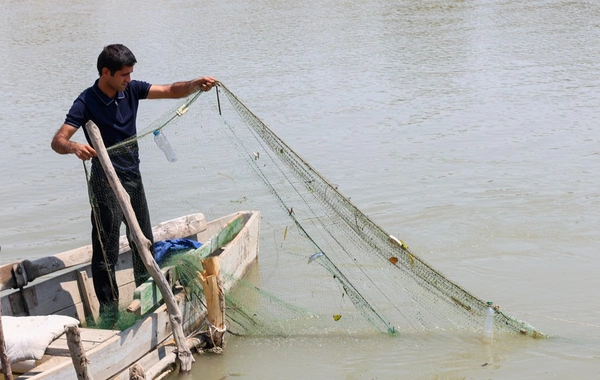 Kür çayında sintetik torlardan qanunsuz istifadə aşkarlanıb, 300 metrdən artıq tor zərərsizləşdirilib
