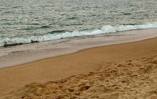 The famous actor was found dead on the beach