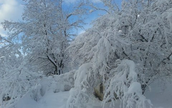 Şərurda qarın hündürlüyü 29 santımetrə çatıb - FAKTİKİ HAVA