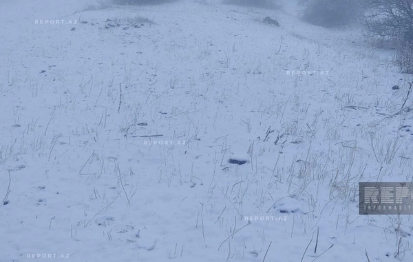 Ordubadın yüksək dağlıq ərazilərində qarın hündürlüyü 20 sm-ə çatıb