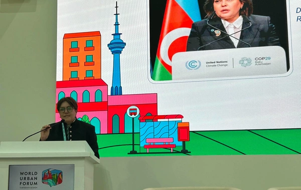 Umayra Tağıyeva: 2036-cı ildə Azərbaycan Yerli Ətraf Mühit Gününə ev sahibliyi edəcək
