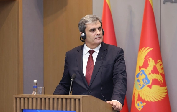 İbrahimoviç: Azərbaycan və Monteneqro müntəzəm reyslərin açılmasını müzakirə edib