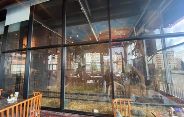 Bakıda restoranda heyvanların qanunsuz saxlanıldığı aşkarlanıb