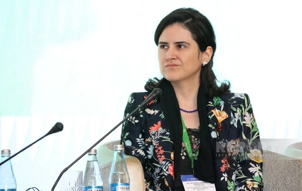 Mərakeş Universitetinin rəsmisi: "Qlobal halal iqtisadiyyatı potensialının çox altındadır"