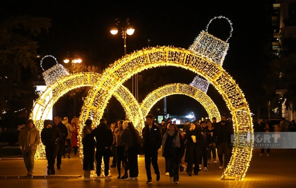 Dənizkənarı Milli Parkda Yeni illə bağlı xüsusi hazırlıq işləri aparılır