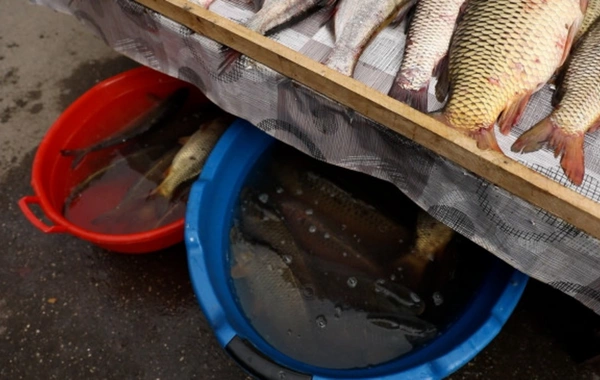"Yasamal" bazarı və "İnşaatçılar" metrostansiyası ətrafında qanunsuz küçə satışına qarşı reyd keçirilib