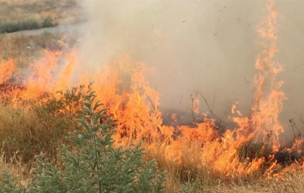 Azəriqazın əməkdaşı araq içib qonşusunun həyətinə od vurdu