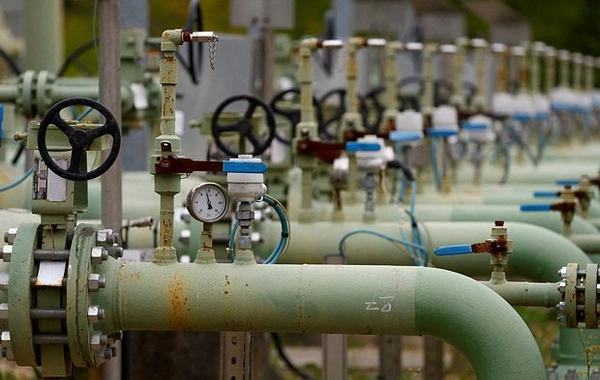 Avropada qazın qiyməti kəskin BAHALAŞIB