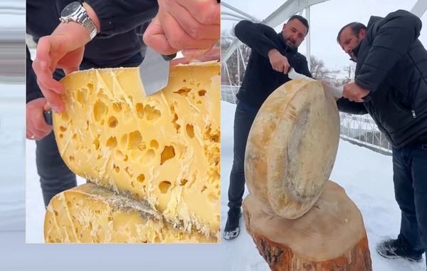 1.5 ton süddən hazırlanan qiymətli pendir - Qırmızı ətdən belə bahadır