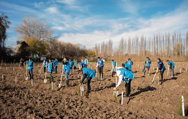 İDEA Sabirabad və Cəlilabad rayonlarında kütləvi ağacəkmə aksiyaları təşkil edib