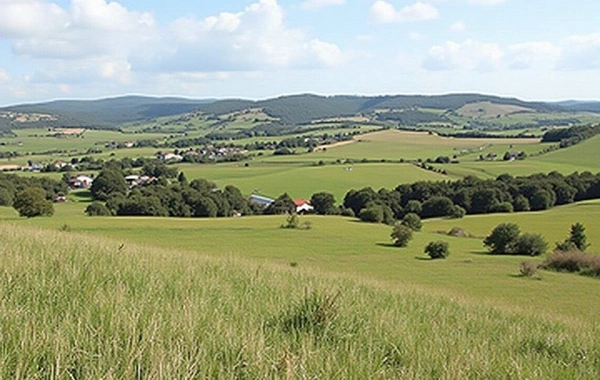 Ucuz qiymətə torpaq almaq istəyənlər üçün YENİ XƏBƏR