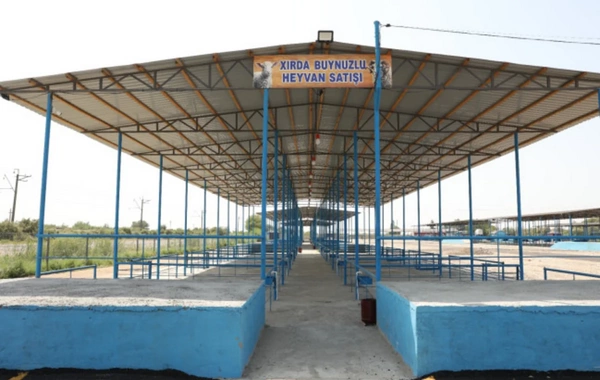 Sabirabad heyvan satışı bazarı fəaliyyətə başlayıb