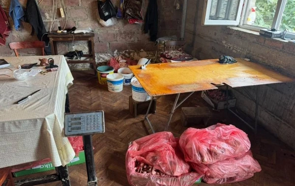 Antisanitar şəraitdə dönər əti hazırlayan sexin fəaliyyəti DAYANDIRILDI