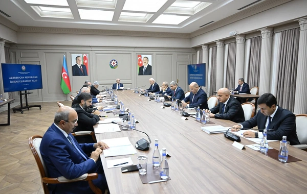 İqtisadi Şuranın növbəti iclası keçirilib