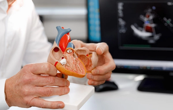 Названо условие, при котором лекарства для сердца становятся опасными