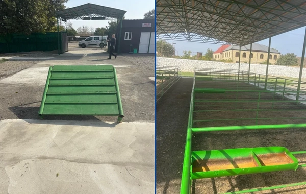 Şəmkirdə yeni heyvan satışı bazarı fəaliyyətə başlayıb