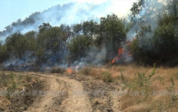 Ağdamın Kəngərli kəndində açıq ərazidə yanğın başlayıb