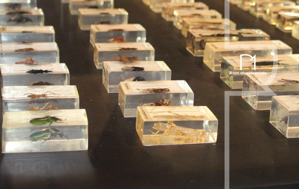 Palçıq Vulkanları Turizm Kompleksi – Azərbaycanın təbiət möcüzələrinə açılan yeni qapı