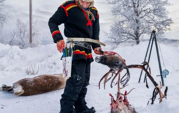 "Photos of the Year" from National Geographic: the most "powerful" photographs of 2025 published