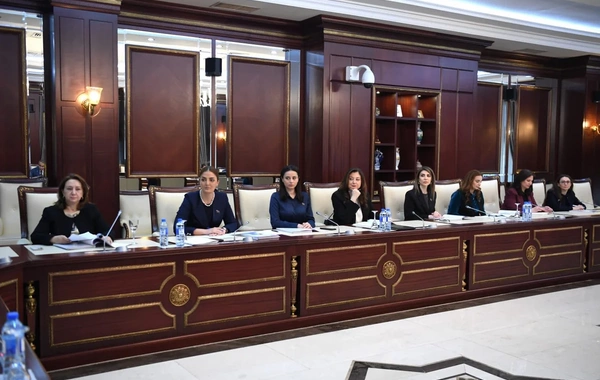 Parlamentin komitə iclasında Ailə, Qadın və Uşaq Problemləri üzrə  Dövlət Komitəsinin məlumatı müzakirə olunub