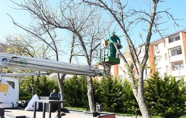 Bakıda yaz mövsümü ilə əlaqədar genişmiqyaslı daxili iməcilik keçirilib