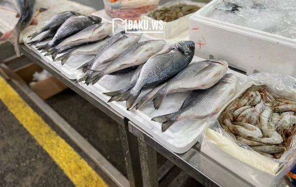 Bakıda balıq yarmarkası fəaliyyətə başladı