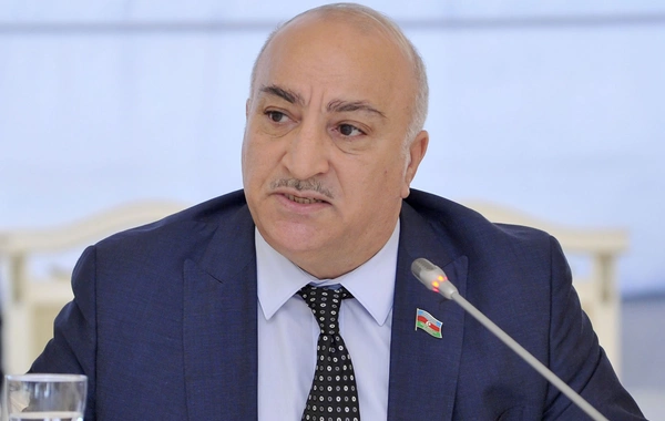 Tahir Kərimlinin şəhid anası olan bacısı vəfat etdi