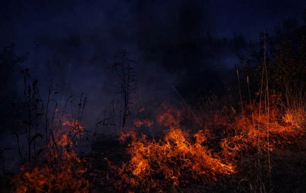 Şəkidə güclü yanğın olub