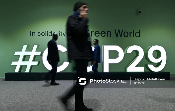 Важные соглашения на COP29: Баку задает новые стандарты для углеродных рынков