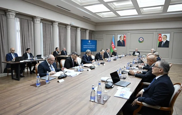 İqtisadi Şuranın növbəti iclası keçirilib
