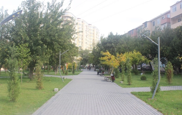 Bakıda parkda təmir işləri GÖRÜLƏCƏK