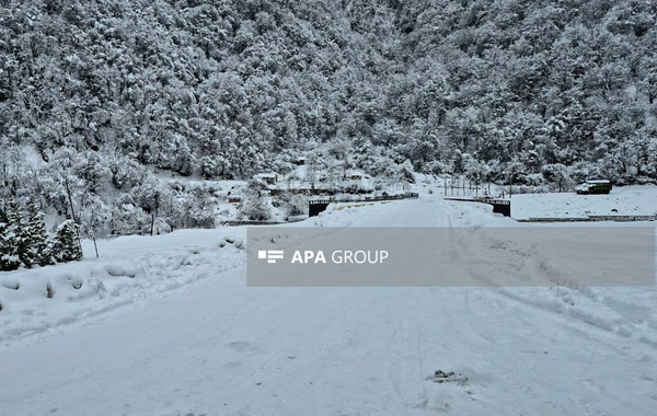 Güclü qar Qəbələnin dağlıq kəndlərinə gediş-gəlişi çətinləşdirib