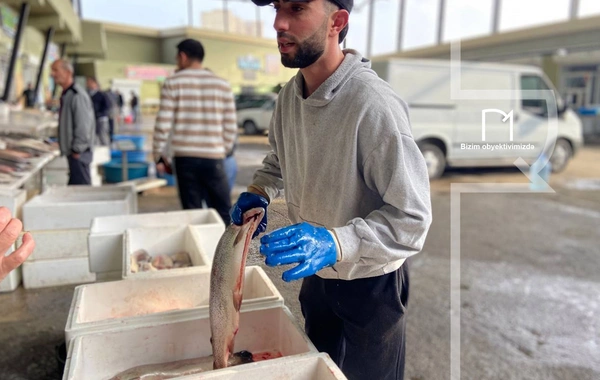 Ət əvəzinə hamı balıq alır - Bazarda SON QİYMƏTLƏR