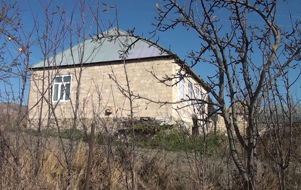 Gədəbəydə ata ilə oğulun mübahisəsi qanlı bitdi: Hadisənin şahidi DANIŞDI
