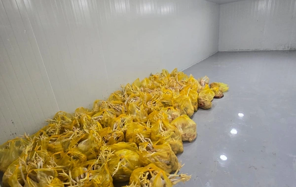 Xırdalanda 2 min ev quşunun qanunsuz kəsildiyi sexin fəaliyyəti məhdudlaşdırılıb