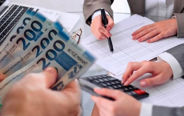 Naxçıvan sahibkarları I rübdə 2 milyon manata yaxın güzəştli kredit alıb