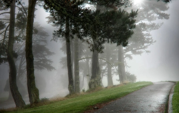 Dumanlı hava sabah da davam edəcək - PROQNOZ
