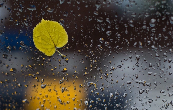 Bir sıra ərazilərə yağış, Murovdağ yüksəkliyinə qar yağıb - FAKTİKİ HAVA