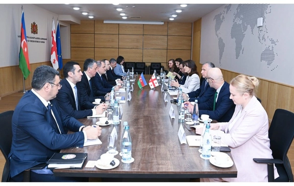 Ceyhun Bayramov Gürcüstanda rəsmi səfərdədir