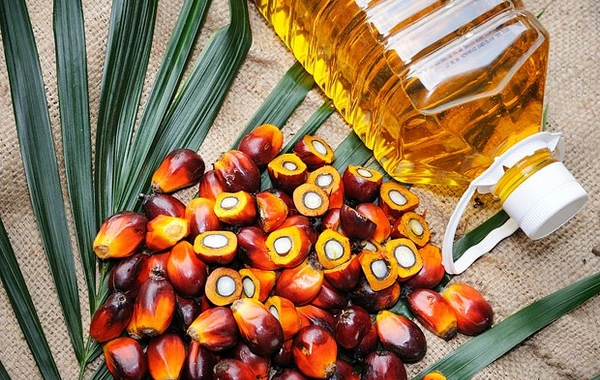 # Doctor Named the Main Myth About Palm Oil