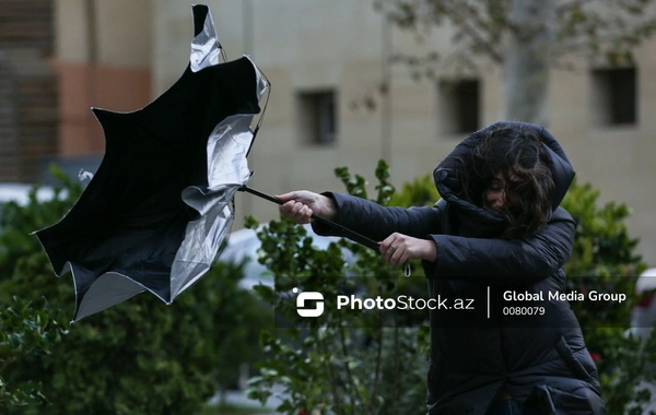МЧС обратилось к населению в связи с ветреной погодой