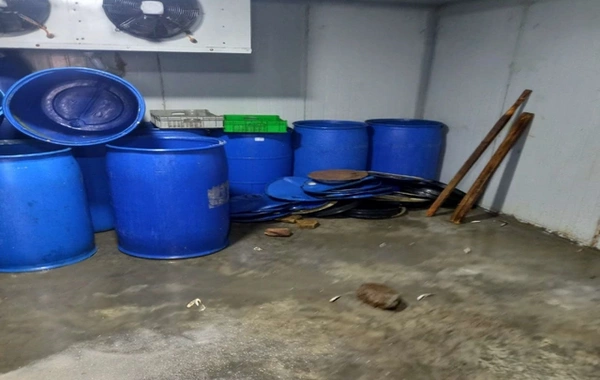 Hisə verilmiş balıqların istehsalı sexində nöqsanlar aşkarlandı, sahibkar cəzalandırıldı