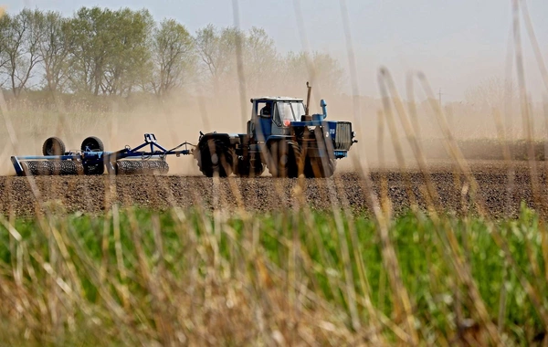 Azərbaycanda payızlıq əkinlərə görə subsidiya alanların sayı 278 minə çatıb