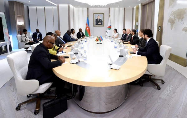 SOCAR Zimbabve Milli Assambleyası ilə enerji əməkdaşlığını müzakirə edib